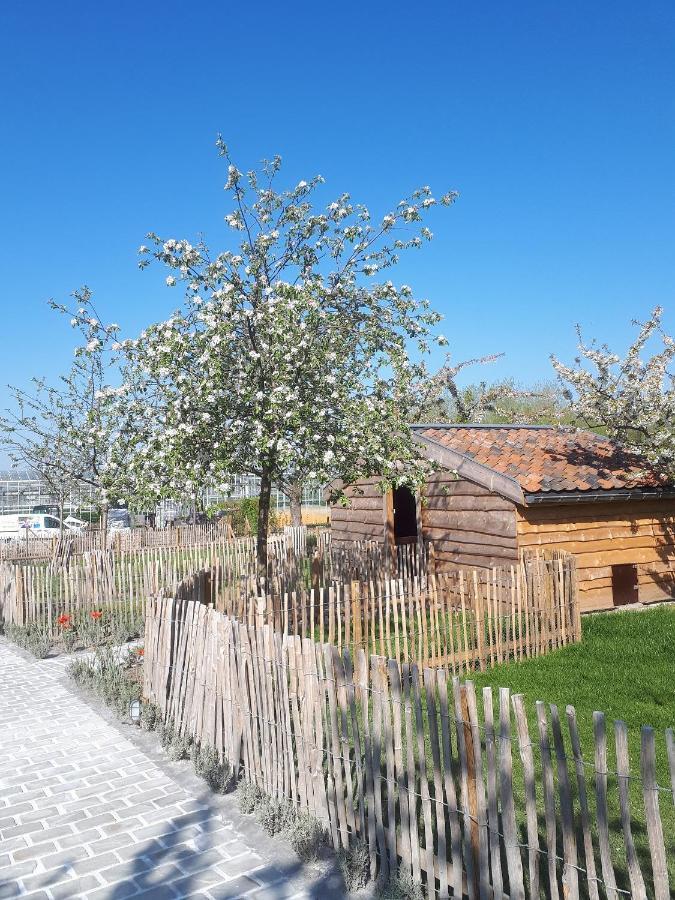 Bed and Breakfast De Bonderbei Wellen Exterior foto